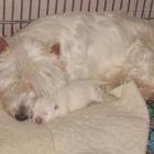 Vivienne z maleństwem