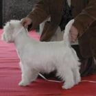 Rammstein uczy się wystawiać