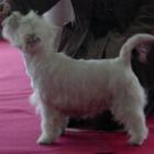 Rammstein uczy się wystawiać