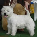 RAMMSTEIN AT Grandiflora - wybitnie obiecujący