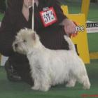 ARTEMISS Blataj - kl. otwarta, doskonała