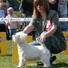 RAMMSTEIN AT Grandiflora - wybitnie obiecujący