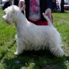 FABULOUS SOPHIE - bardzo dobra