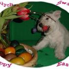 Happy Easter