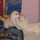 009_2004_007.jpg