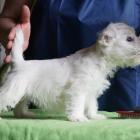 w.7weeks_girl1_01.jpg