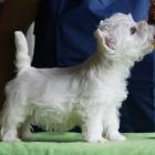 w.7weeks_girl2_01_jpg.jpg
