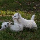 10_miot_c_061.jpg