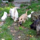 10_miot_c_026.jpg