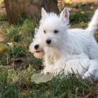 10_miot_c_067.jpg