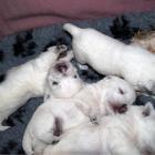 10_miot_c_011.jpg