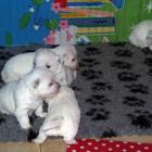 10_miot_c_017.jpg
