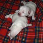 10_miot_c_008.jpg