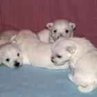 09_miot_d_014.jpg