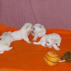 09_miot_n_020.jpg