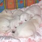 09_miot_n_015.jpg