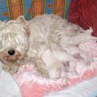 09_miot_n_016.jpg