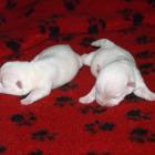 09_miot_n_004.jpg