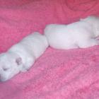 09_miot_n_009.jpg