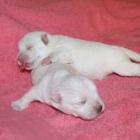 09_miot_n_010.jpg