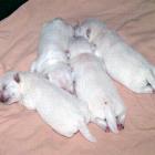 09_miot_n_013.jpg