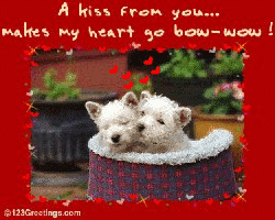 Valentine's Day